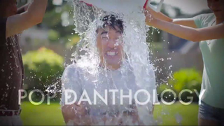 Pop Danthology 2014 rounds up the year in music